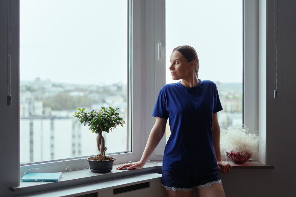 Wichita Window Styles